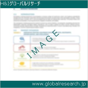 グローバルリサーチ調査レポートのイメージ